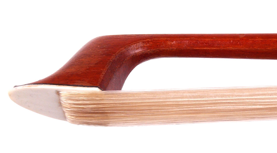 No enlargement available