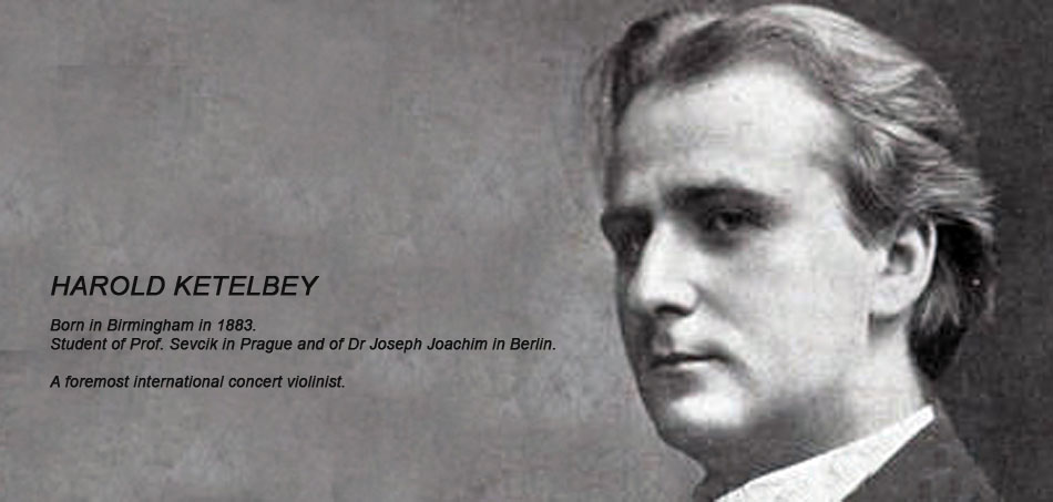 No enlargement available