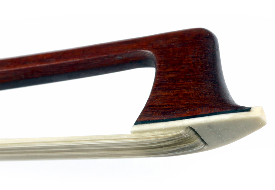 No enlargement available