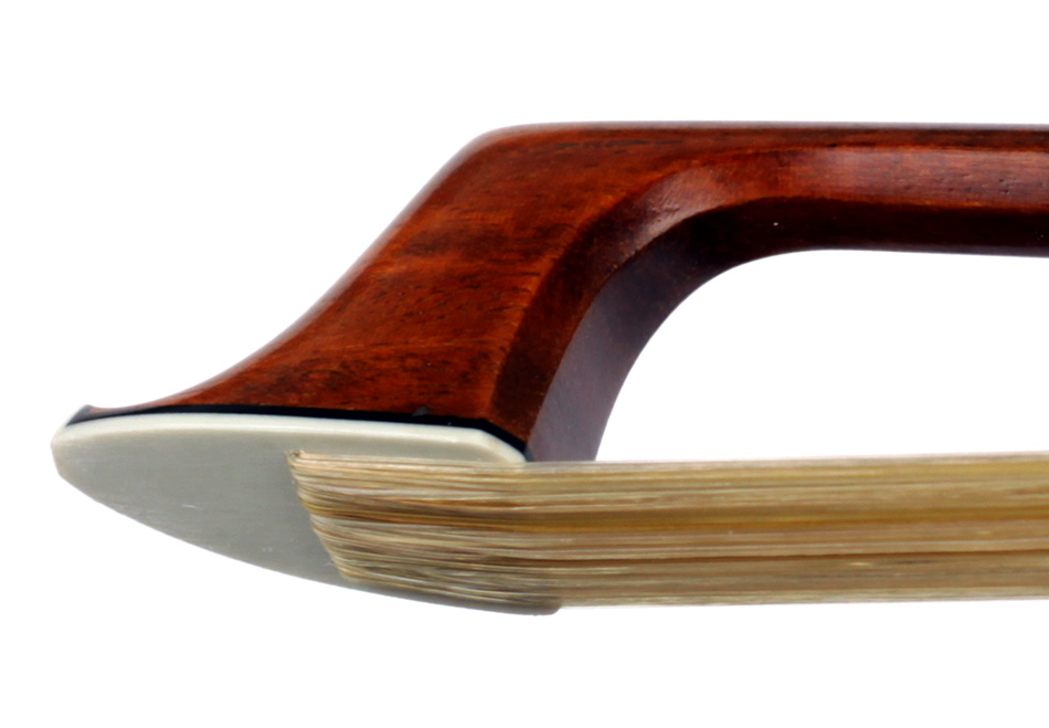 No enlargement available