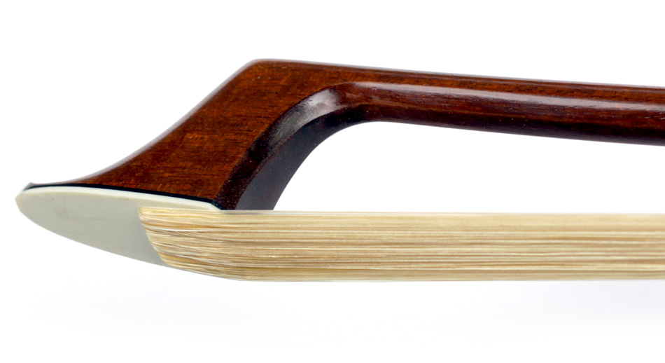 No enlargement available