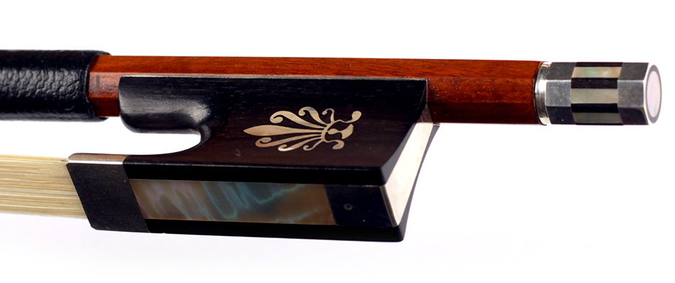 No enlargement available